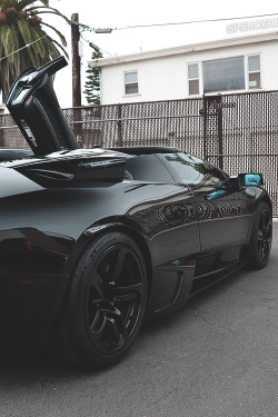 billionaired:  blacked out photographer: Spencer Berke 