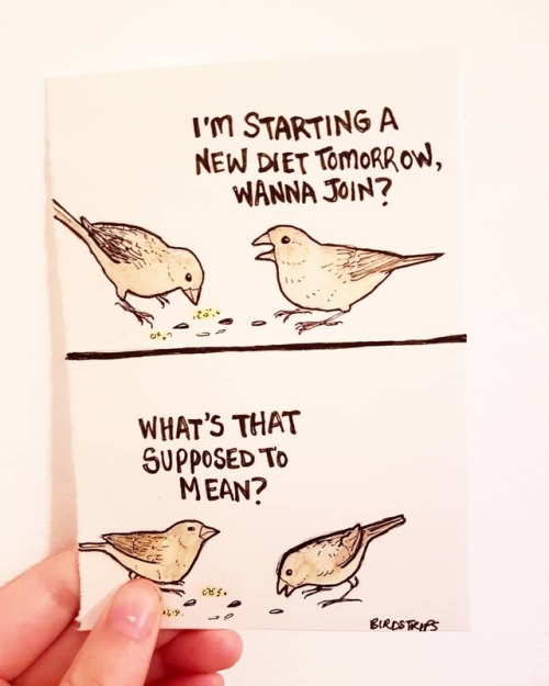 Bird no. 97. New year same me......#newyearsameme #whatdidyousay #resolutions #webcomic #bird #sparr