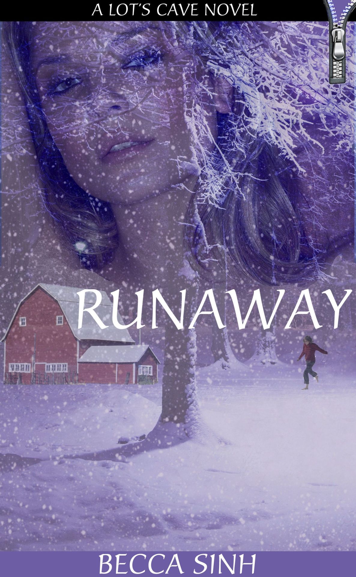 RUNAWAY - Book 20 of &ldquo;The Hazard Chronicles&rdquo; - by Becca Sinh