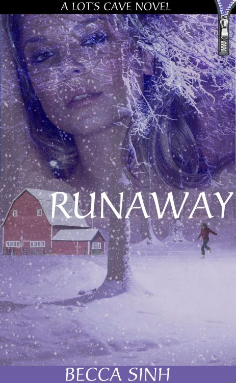 Sex RUNAWAY - Book 20 of “The Hazard Chronicles” pictures