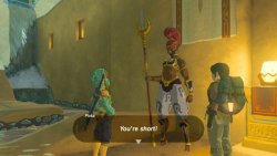 leceiju: kyonshee77: Rude!  HIS HEIGHT: WACKHIS COLOR: WACKTHE FACT YOU CAN’T EVEN SEE HIS ABS: WACKME: I’M GERUDO AS FUCK 