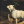 rozencrants:i want to live in rome and wear billowing white blouses everyday and