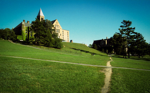 Cornell Uris Library