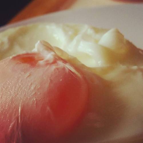 tumblr photo jugulate 0