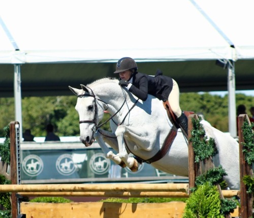 equitation