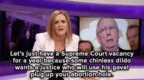 sorcerous-kitty:popculturebrain:micdotcom:Watch: Samantha Bee’s brutal takedown of the GOP might hav