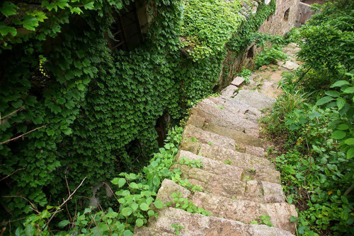 innocenttmaan:  Shengsi, an archipelago of almost 400 islands at the mouth of China’s Yangtze river, holds a secret shrouded in time – an abandoned fishing village being reclaimed by nature. These photos by Tang Yuhong, a creative photographer based