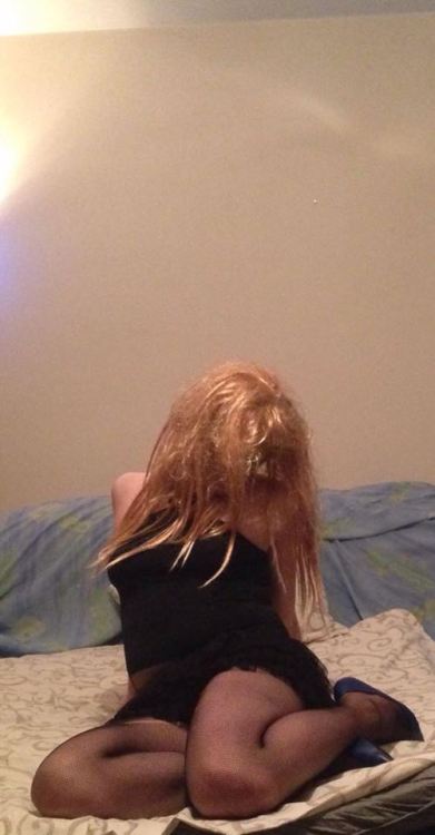 Looking for cocks