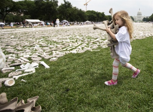 obitoftheday:  love-scapes:  ianbrooks:  One Million Bones DC Led by artist Naomi Natale as part of the One Million Bones Project, this mass grave assembled at the National Mall in Washington, DC is composed of bones made of paper and plaster, but symboli