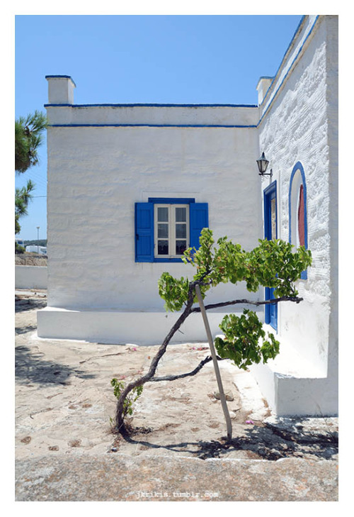 iraklia © 2020 Yiannis Krikis