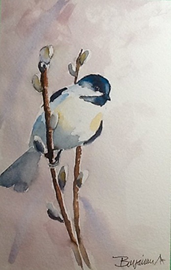 jerzee55z: Early Morning Chickadee and Pussy Willows by Benjamin Pitman