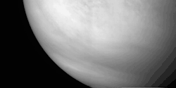 spaceexp:  Galileo’s view of Venus as it