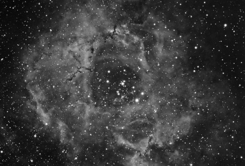 galaxyshmalaxy: NGC 2239 / Rosette nebula (by Daniele Malleo)