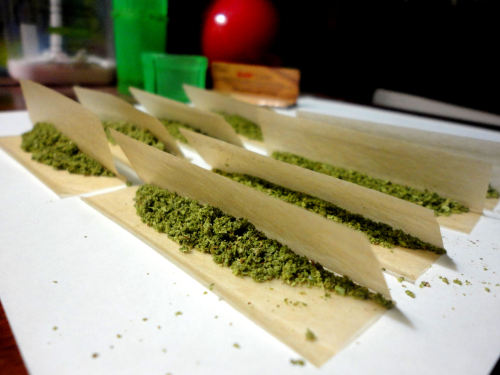 nuug-lyfe:  8 doobies to the face.. 