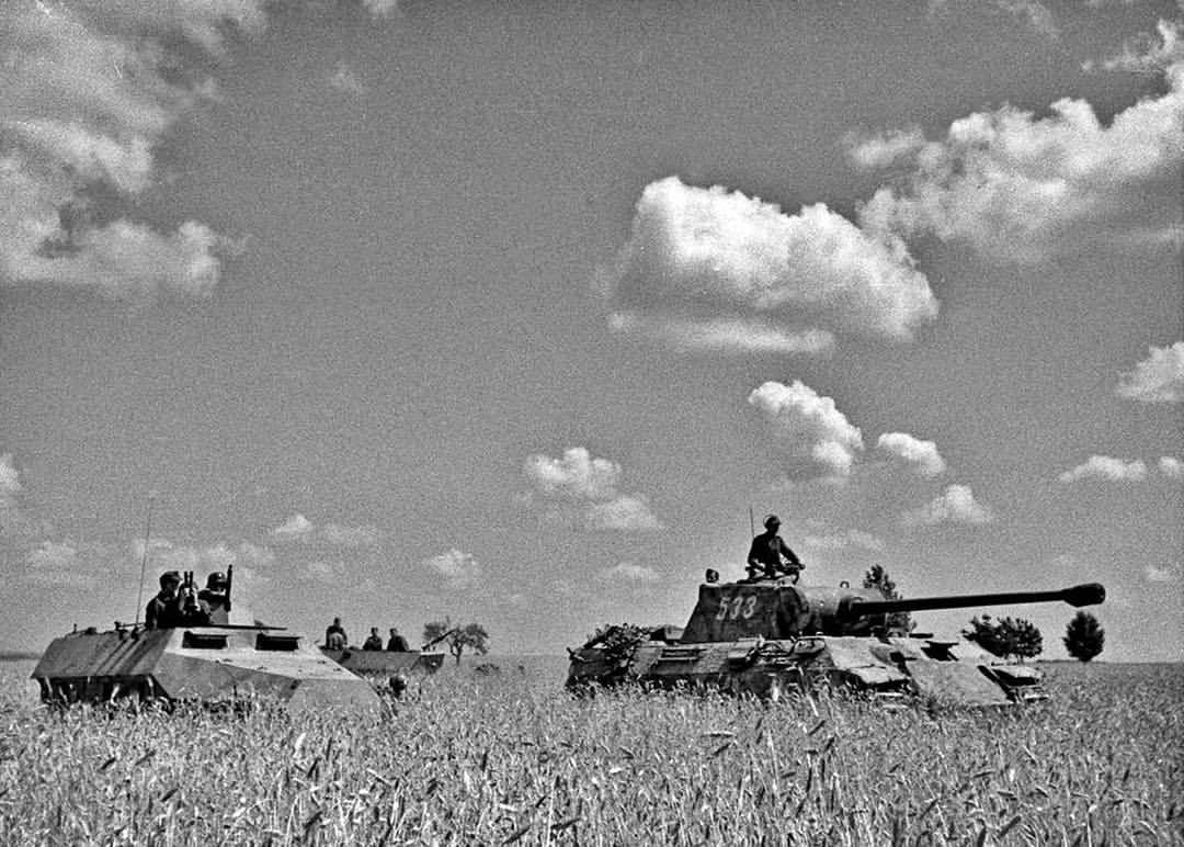 warpicshistory:
“Panther ‘533’ and Sd.Kfz. 251 armoured half-tracks of the 3rd ϟϟ Panzer Division ‘Wiking’ awaiting the order to advance, Wilanowo area, July 1944. The Wiking division participated in brutal fighting with the Red Army in Poland during...