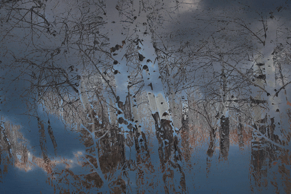 c899bf3f6cc2316c0cba712c230d59f290d78e2f.gifv