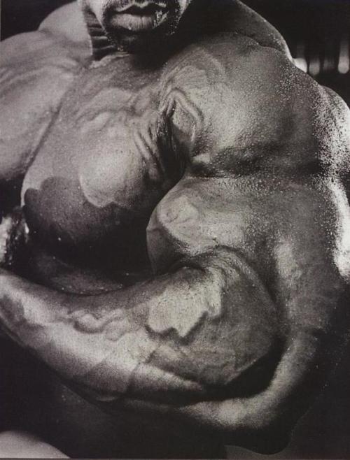 muscpowr:  Paul Dillet’s bicep