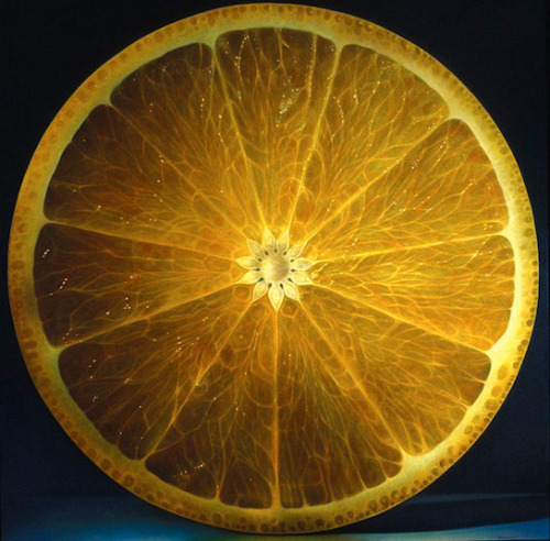 unicorn-meat-is-too-mainstream:  Dennis Wojtkiewicz is best known for his exploration of the “sensitive nature of time” in his large-scale oil paintings of fruits and flowers. 