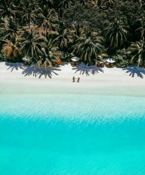 oceancuresall: tropical blog