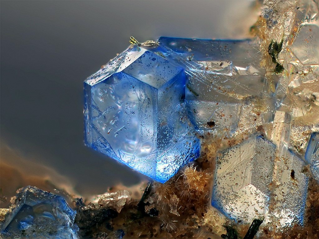 underthescopeminerals:  Haüyne  Locality:In den Dellen quarries, Niedermendig, Mendig,