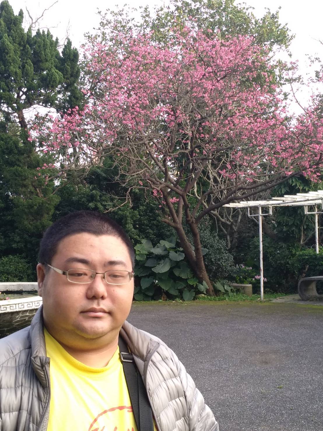 Asian Chubby n Chaser