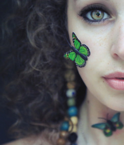 fox-corner:  eye of a butterfly by Yasmin Zahra photography on Flickr.