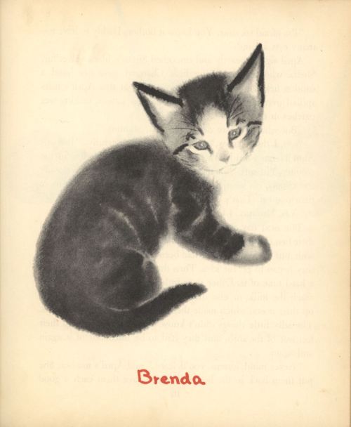 uwmspeccoll:The First Caturday in AprilApril’s Kittens, by noted author and illustrator of cats Clar