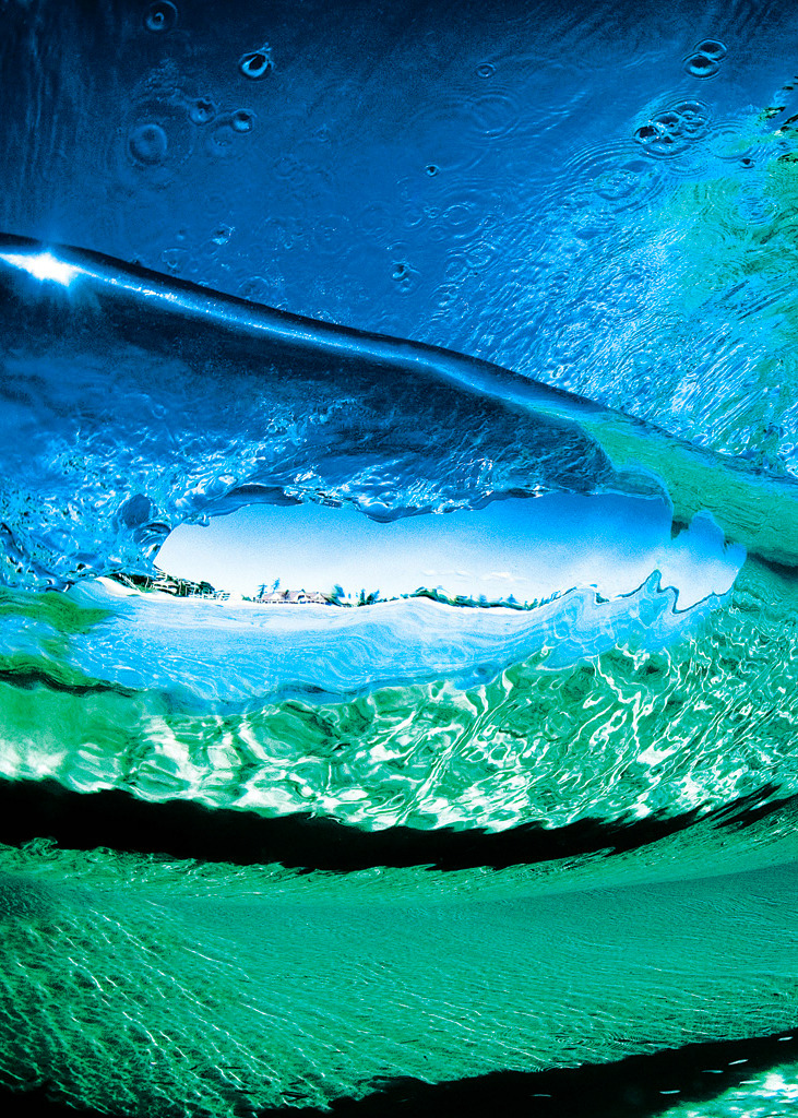 highenoughtoseethesea:  Through the glass. Photo: Trent Mitchell 