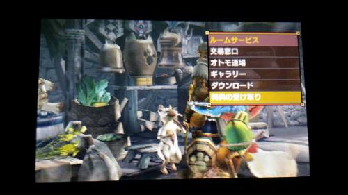 If you guys want to know how to get the bonus items for having Monster Hunter 4G and Poka Poka Villa