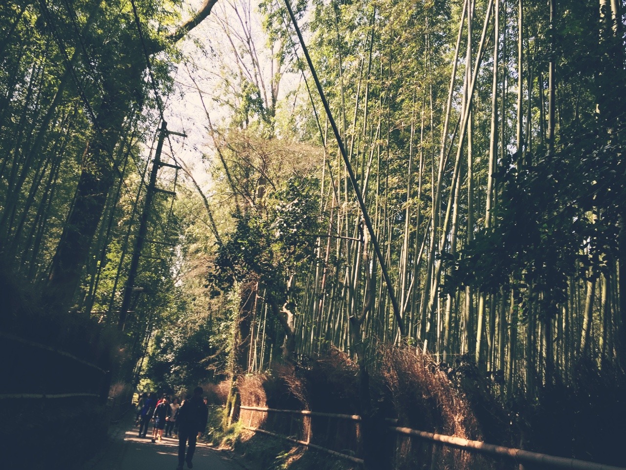 kechooooo:  京都旅行に行って参りました中々歩き回ったのでヘトヘトになりましたがやっぱり京都の雰囲気や建物は素敵(