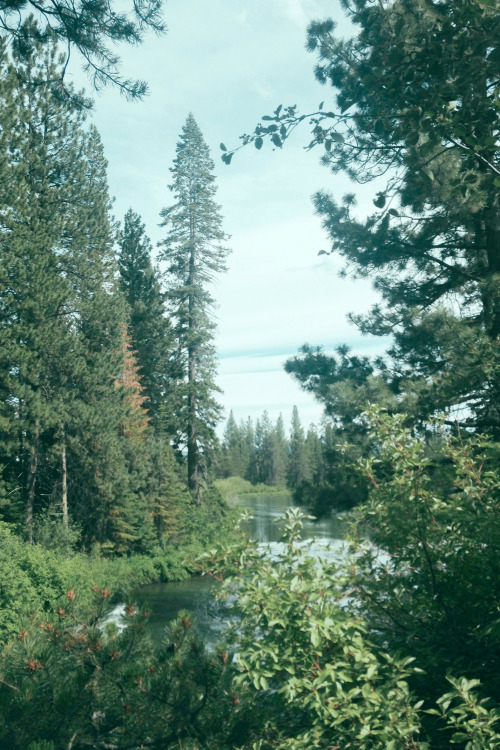 XXX leahberman:  Glorious View Oregon, US 06/20/15 photo