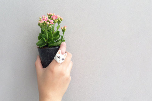 lesstalkmoreillustration: Handmade Enamel Animal Rings by Goodafternine On Etsy   *More Things & Stuff    