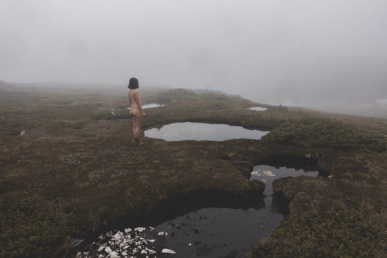 openbooks:  “Embracing Lost”Kozy in the fog in Cradle Mountain National Park.
