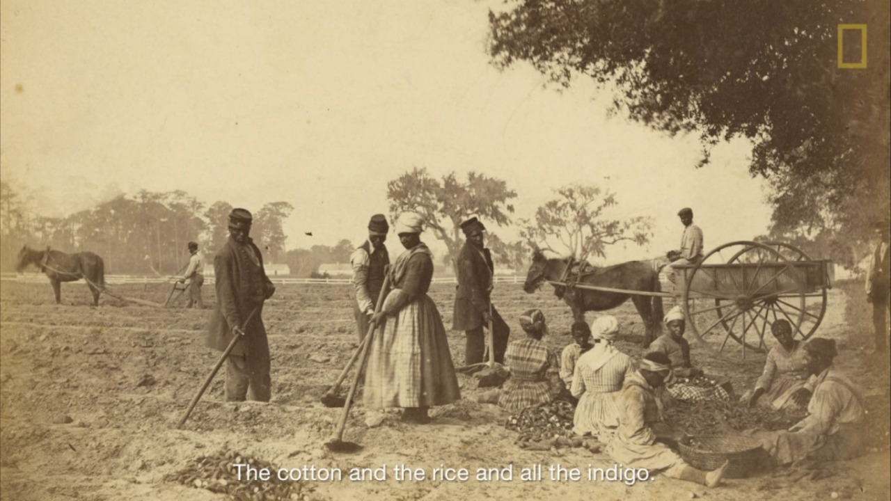 dynamicafrica:  Gullah Storyteller and Historian Theresa Jenkins Hilliard Speaks