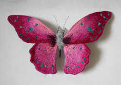 itscolossal:  Textile Moth and Butterfly Sculptures by Yumi Okita 