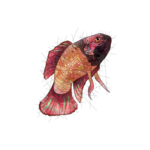 Sithis the betta for @the-jar-boisSithis: Society6 ; RedbubbleSmooth: Society6 ; Redbubble