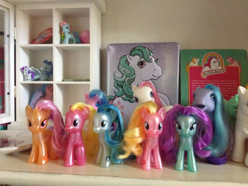 I decided to show off my collection again, as I had gotten some new ponies since I last showed it as