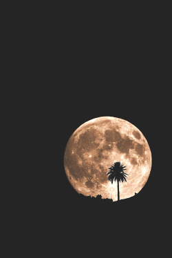 wavemotions:  Temisas supermoon