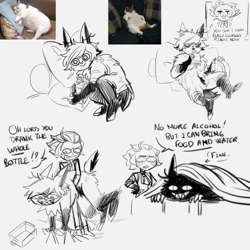 The Fluff Arc , My Legacy