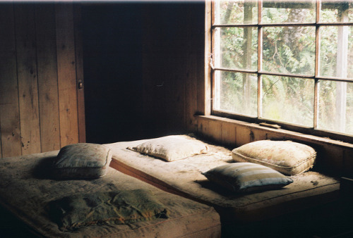 lyricalsycamore:  untitled by taylor-randal on Flickr.