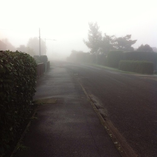 vanimamela:foggy cold mornings are my favourite thing about this this time of year ❄️