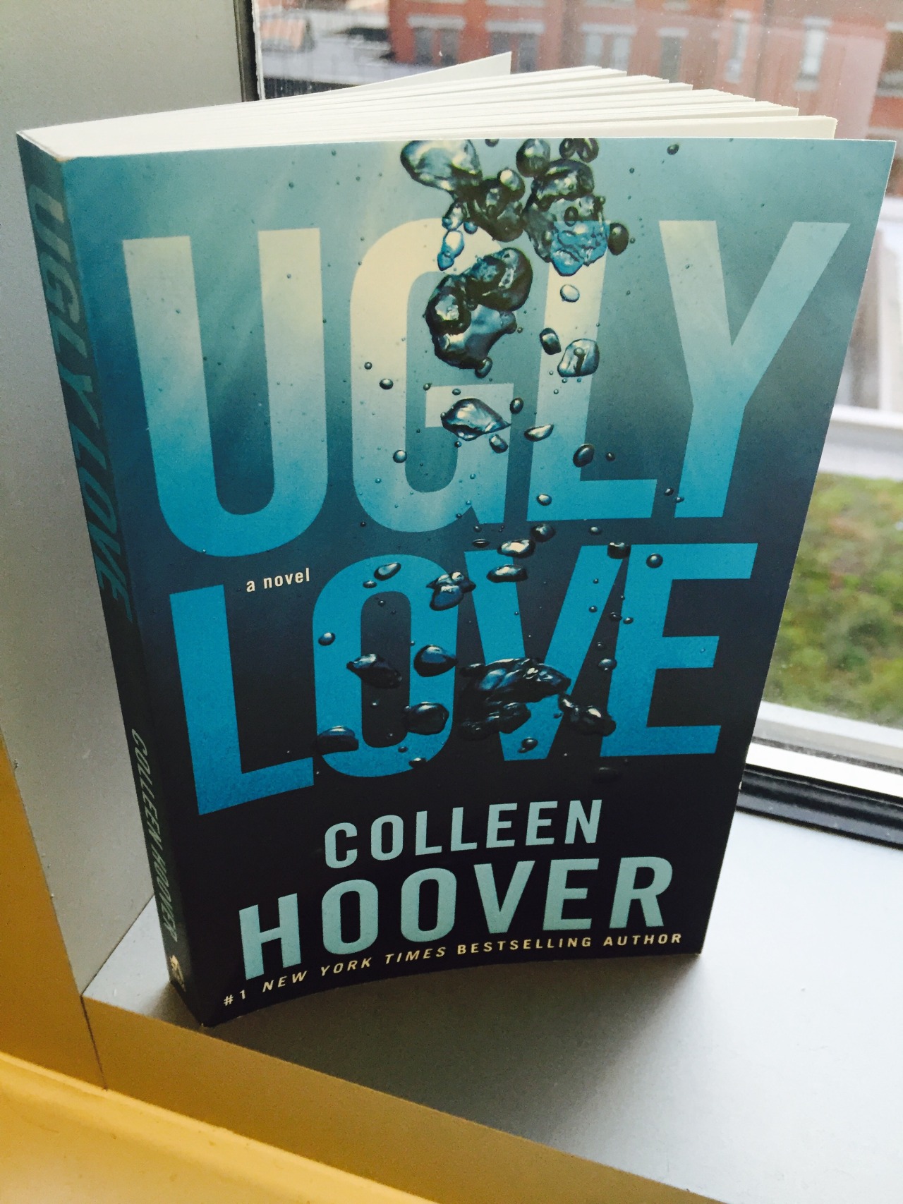 book review for ugly love