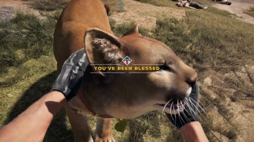 mojaveexpress:i ABSOLUTELY fucking HAVE BEEN! #mah gahl#peaches#farcry5#reblog