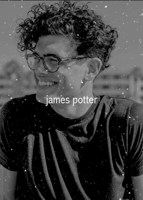 hogsmecd:j a m e s  x  l i l y // for @reindeerjames‘she hated him!’‘nah, she didn’t’