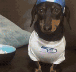 2014funnies:   Nothing But Gifs - Biggest