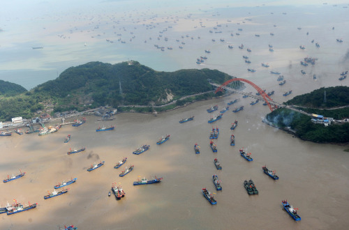 Trawlers set out from a port as the a three-month-long summer fishing moratorium ends in Ningbo, Zhe