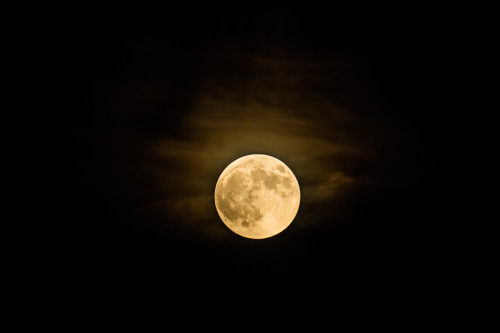 Full Moon and Eclipse - 2015