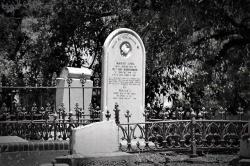 gardensofthesilent:St Georges Anglican Cemetery,