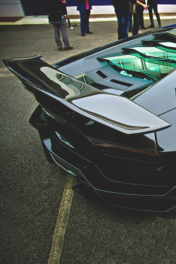 wearevanity:  DMC Luxury | WAV 