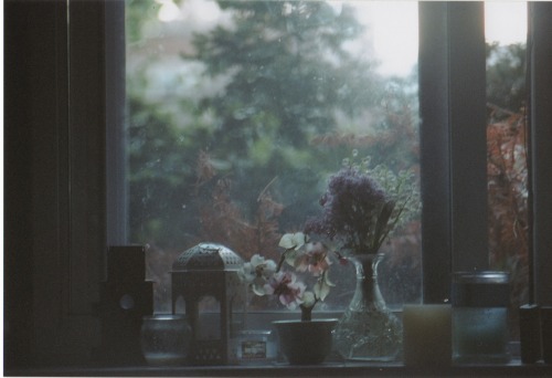 photo study. 